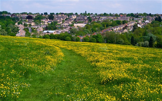 CPRE Hampshire launches new campaign for South Hampshire Green Belt