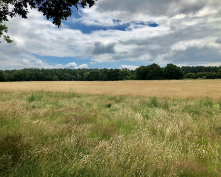 Arable reversion opportunity with land
