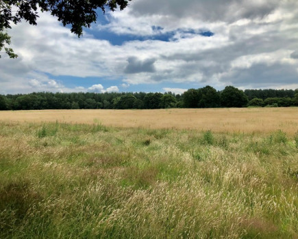 Arable reversion opportunity with land