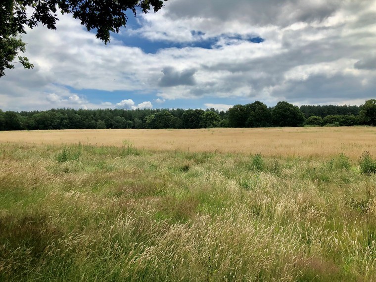 Arable reversion opportunity with land