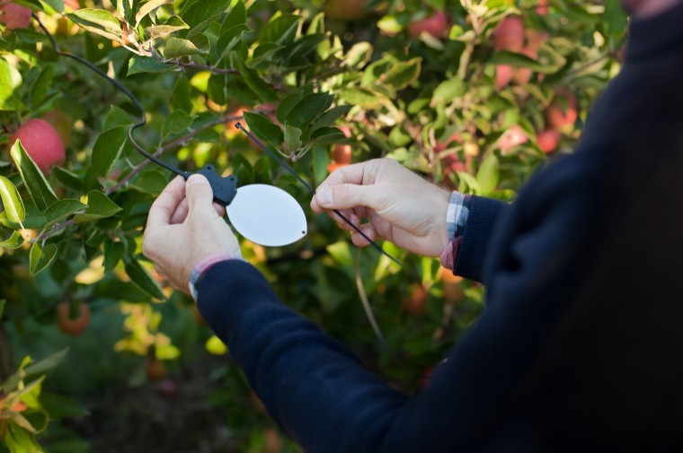 Real-time leaf wetness sensor