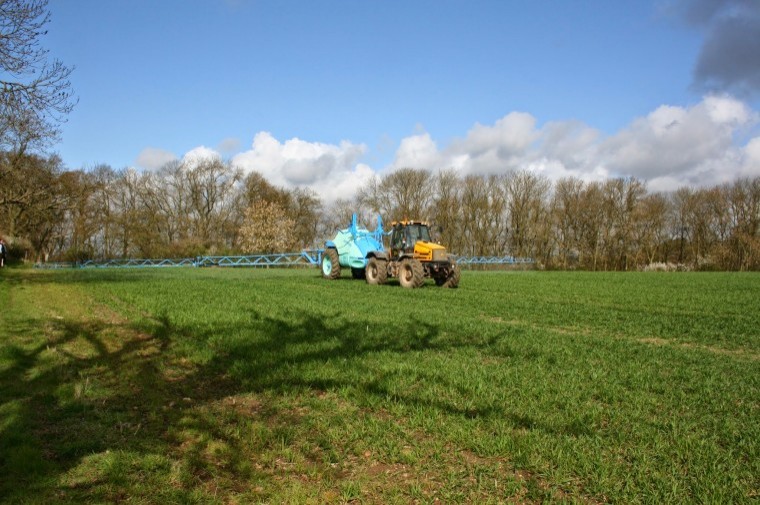 Control black-grass before it tillers