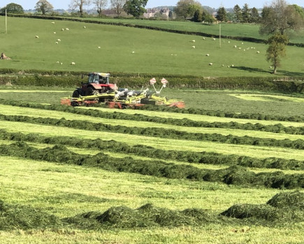 High quality grass silage stacks up