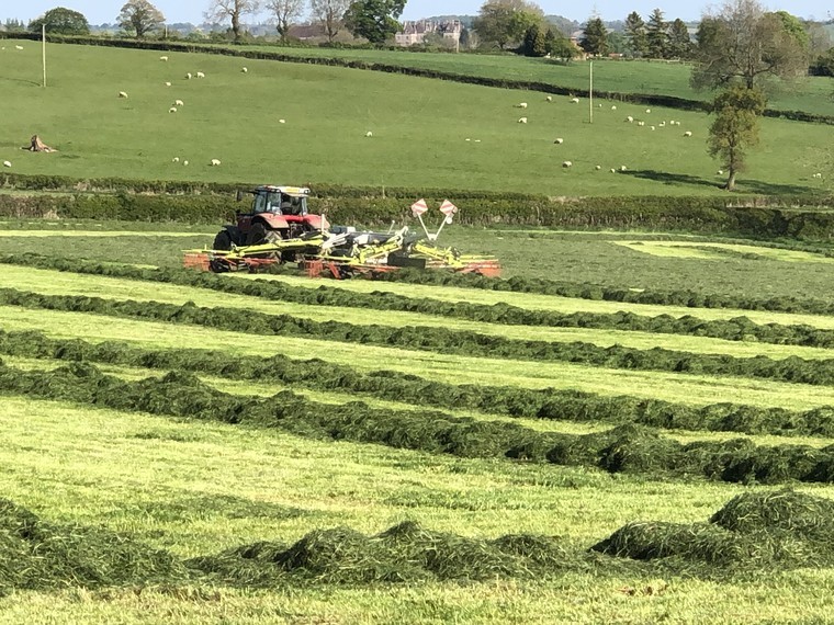 High quality grass silage stacks up