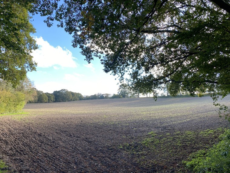 249-acre parcel of south facing farmland