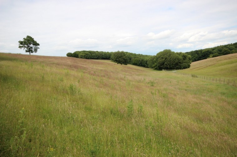 Re-fenced land with new water supply