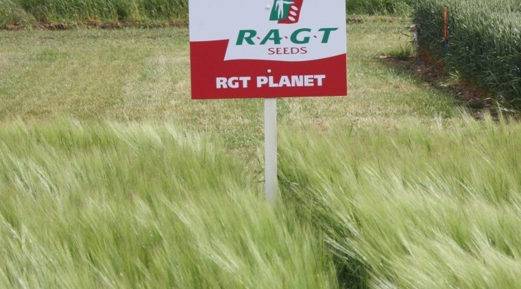 RGT Planet gains full IBD approval for brewing