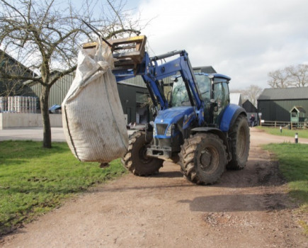 Innovative new willow woodchip trial to tackle apple scab in orchards launched