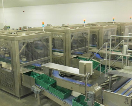 Robotic packer at the ‘core’ of apple producer’s automation