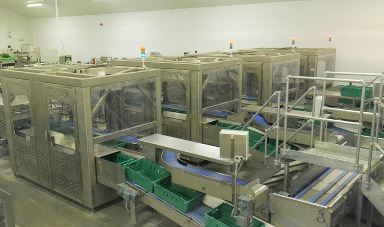 Robotic packer at the ‘core’ of apple producer’s automation