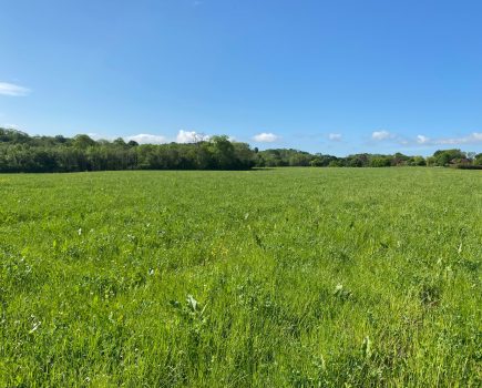 Land for sale on Kent/Sussex borders