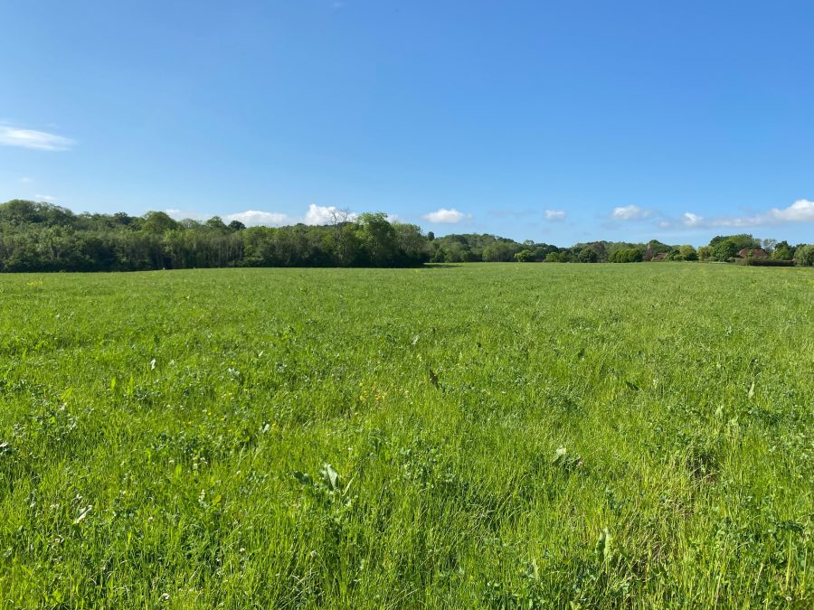 Land for sale on Kent/Sussex borders