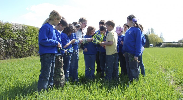 Farmer wins education award