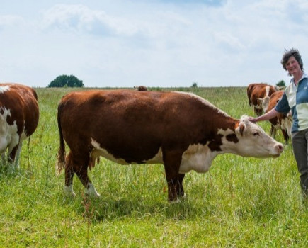 Recruiting drive for pasture fed livestock