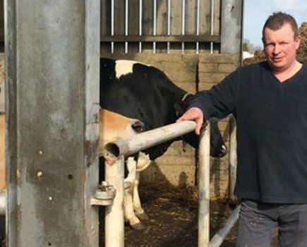 Making the most of wholecrop forages is new challenge for high-yielding Berkshire dairy herd