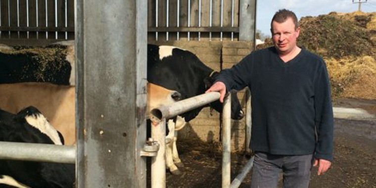 Making the most of wholecrop forages is new challenge for high-yielding Berkshire dairy herd