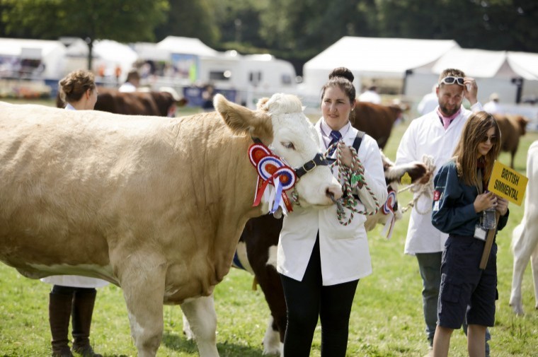 Kent County Agricultural Society calls for volunteers