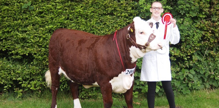 Brockhill YFC at the Kent County Show