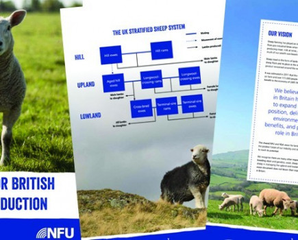 Vision launched for future of British lamb production