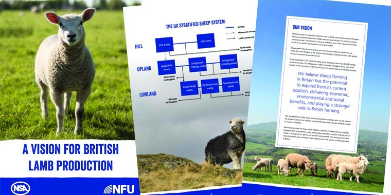 Vision launched for future of British lamb production