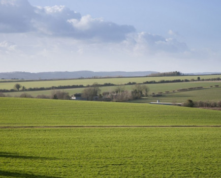 This year’s first big arable estate in Hampshire