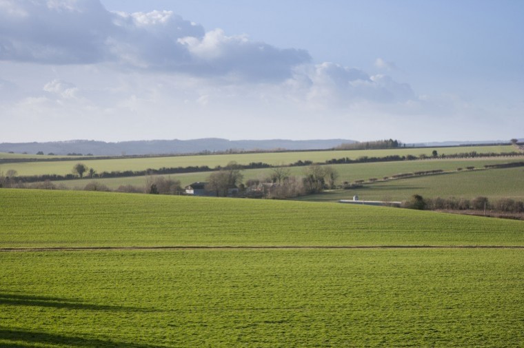 This year’s first big arable estate in Hampshire