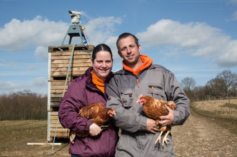 Lasers to keep poultry chickens safe from avian bird flu