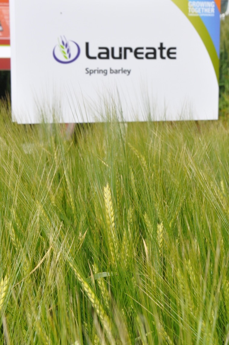 Spring crop trials bring boost to black-grass battle