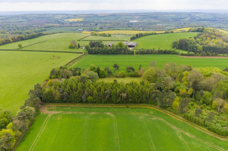 Fine downland farm