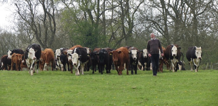 Pub supports organic farm and brewery