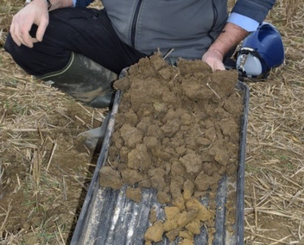 ‘Just add water’ for accurate soil assessments