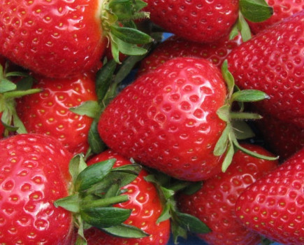 Kent strawberry grows from strength to strength