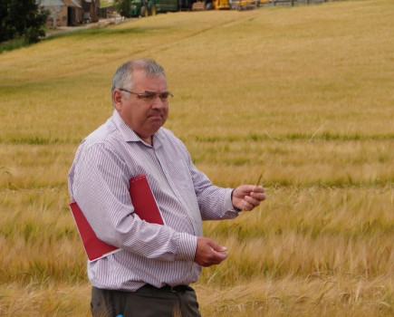 Non GN barley varieties are the way forward to meet ever increasing distilling demand