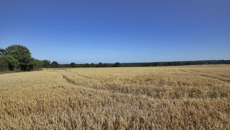 Land near Sevenoaks, Kent