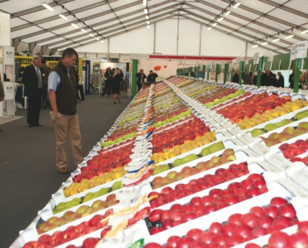Full house for 2015 National Fruit Show