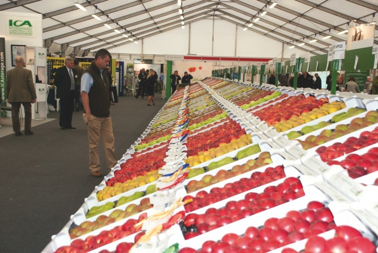 Full house for 2015 National Fruit Show