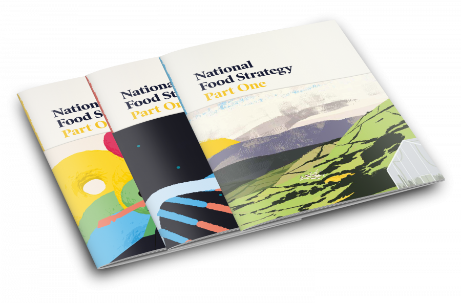 National food strategy – food for thought