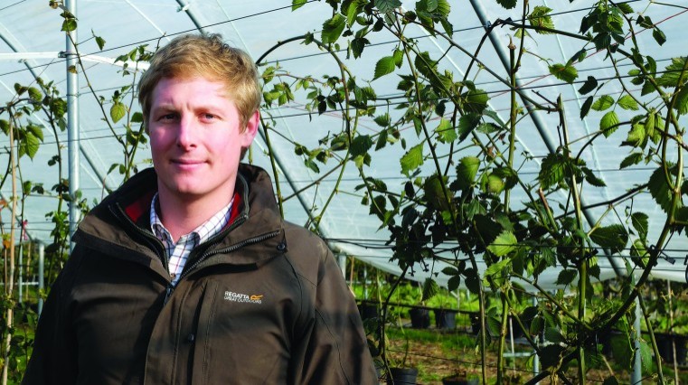 Recruitment is fruit farm’s biggest challenge