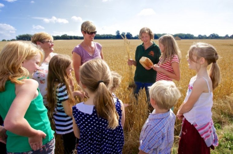 Farmers stand proud on LEAF Open Farm Sunday