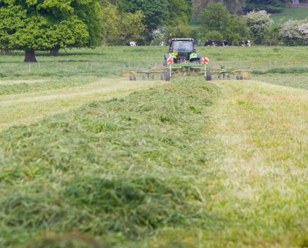 Top tips for spring grass management