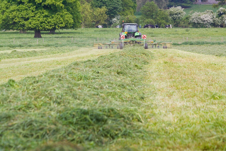 Top tips for spring grass management
