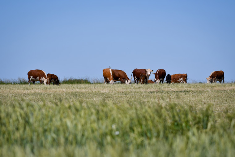 Pioneering new training course for the organic sector