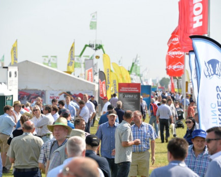 Big names are back at Cereals 2022