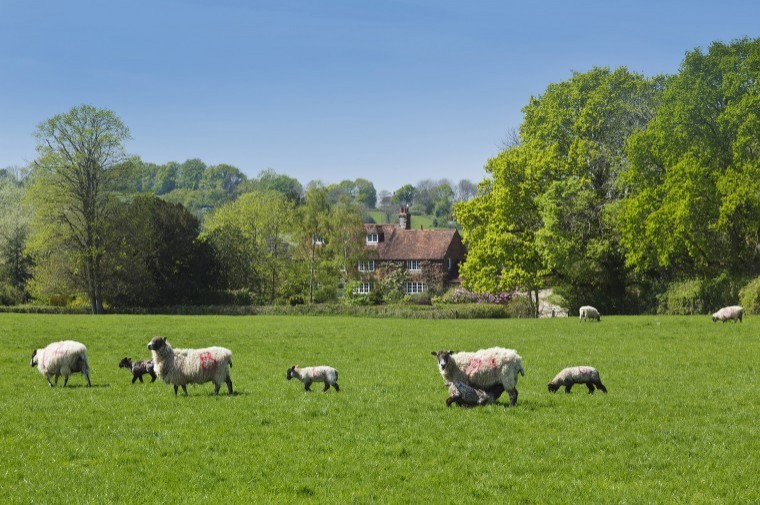 Stunning farm