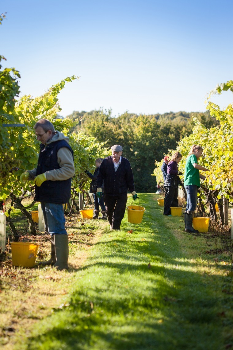 Growers to be hit by increased labour costs