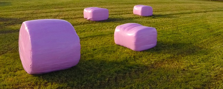 Pink bales