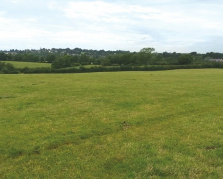 Farmland in East Sussex to let
