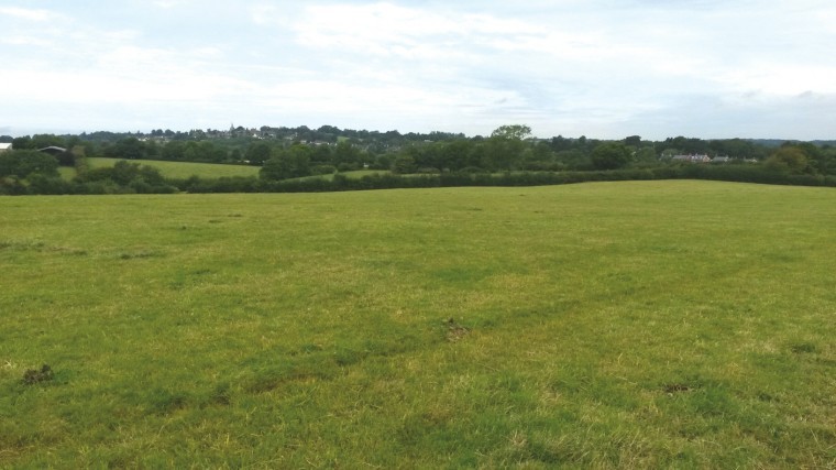Farmland in East Sussex to let