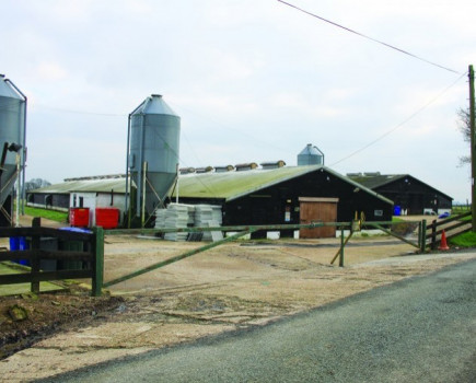 Another Kent poultry farm