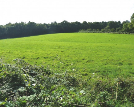 Useful area of grassland